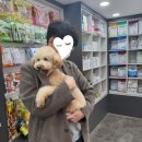 이수보습학원 이미지