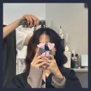 모아이818