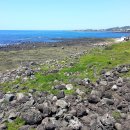 일과1리(대수동) 이미지