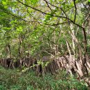 용바위농장 이미지