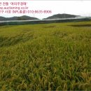 황정리 과수원 이미지