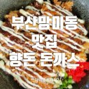 향돈 이미지