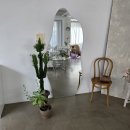 오비5길 이미지