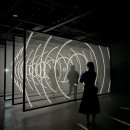 세화에서 이미지