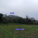 제주성산공인중개사사무소 이미지