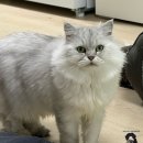 터미널 공중화장실 | 짧지만 꽉 찬 제주🗿1박2일｜우도 비양도 백패킹 다녀오기 Part.01(우도 순환버스, 화장실, 편의점, 모기)