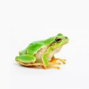 애플미술학원 이미지