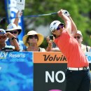 야니랜드 이미지