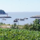 가마미해수욕장 이미지