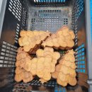 창영초등학교병설유치원 이미지