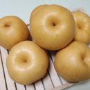 강남농원 네이버블로그