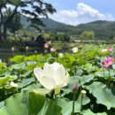 남평문씨본리세거지 주차장 이미지