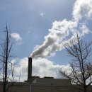 팔용동서식품 이미지