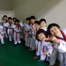 영광 경희대 석사 태권도 이미지