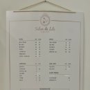 래쉬아트살롱 이미지