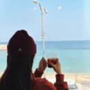 살롱 드 따따 이미지