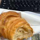 GS25 둔산법원점 | 야외에서 커피 한 잔 하기 좋은 날, 곰에스프레소 둔산법원점