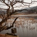 재송여자중학교 이미지