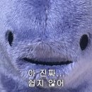 랩인또띠아