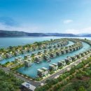 위도 아일랜드 이미지