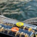 김밥천국 묵호점 | 동해 묵호 맛집 묵호김밥 예약 후 포장 후기