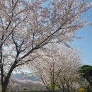 가례면사무소 이미지