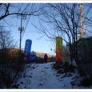 문향영양 이미지