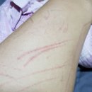 살롱드퍼피 | 살롱드 퍼피 앤드 카페 - 상식이 통하지 않는 곳