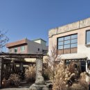 안동목장 | 안동 느좋 카페 추천, ThanQ coffee