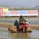 해관농장 이미지