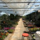 미륵농장 이미지