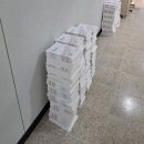 탁구2반 | 🌴제주 연수원 1~2주차] 내 인생 첫 깁스ㅠ / 제주 올레길 플로깅 / 단체 회식 장소 추천