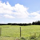 영원목장 이미지