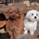 하릅펜션 이미지