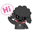 언니네 애견미용실 이미지