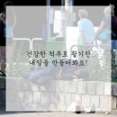 척추가 중심 이미지