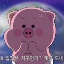 선미횟집 이미지