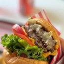 노노맨션 이미지