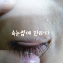 속눈썹에 반하다