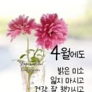 꽃은 또 핀 다오 [잘난 사람 영상 글] 이미지