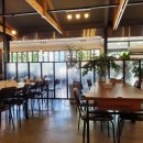 정코다리 이미지