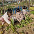 왜관동부초교(병설) 이미지