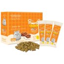 CY요셉트레이딩 이미지