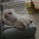 몽몽솔솔 이미지