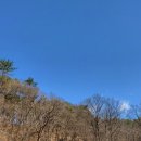 캡틴골프아카데미 | 가락동골프레슨 캡틴골프아카데미에서의 즐거운 첫 월례회 후기