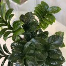 덕신농장 이미지