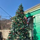 카디라운지 이미지