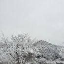 공작산비룡펜션 이미지