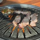 원조부산갈매기
