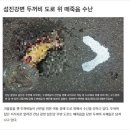 두꺼비PC 이미지